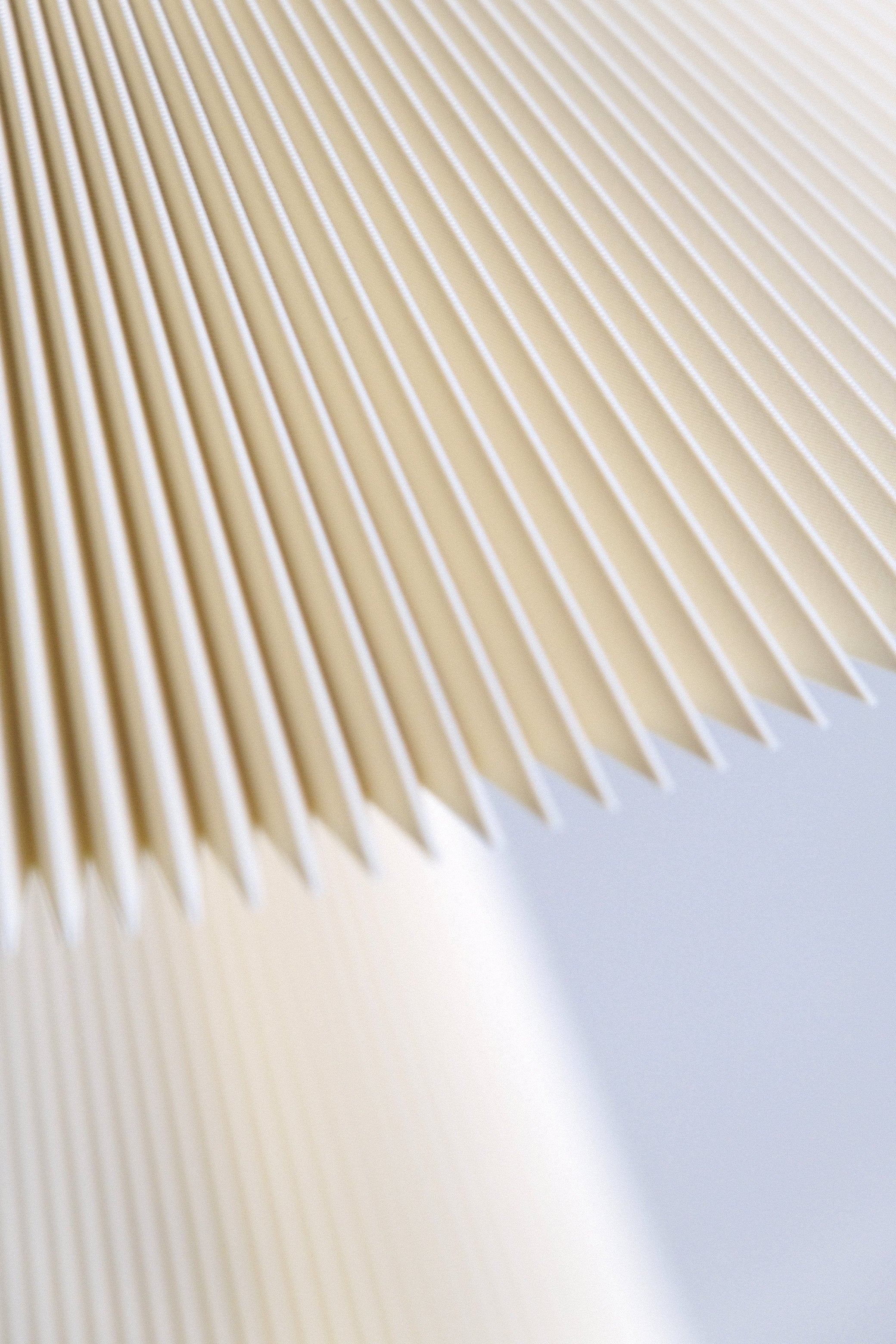 Baby Jane – Olive #11