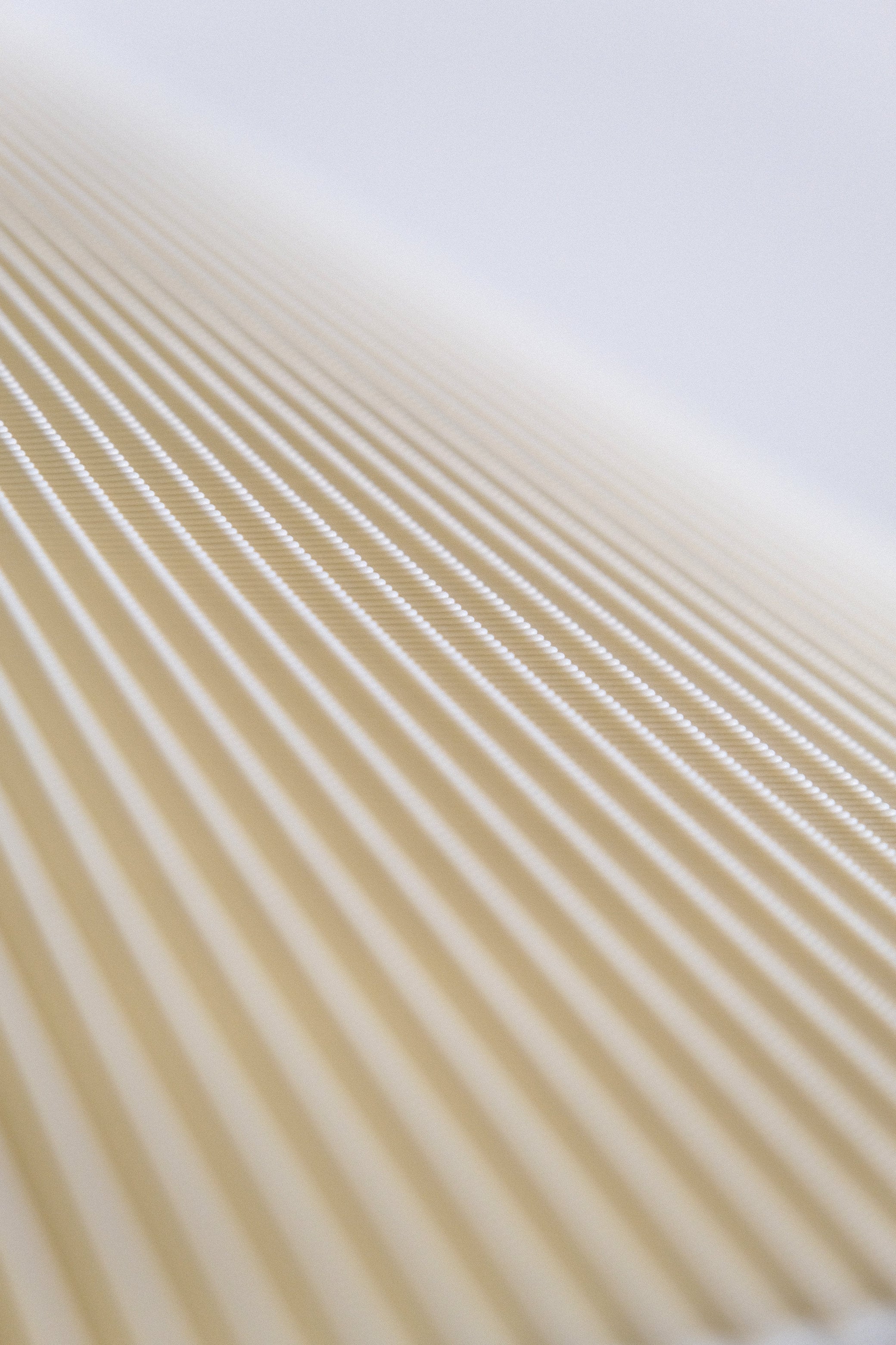 Teen Jane – Mix Emerald #21